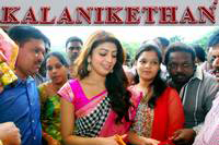 Praneetha Launches Kalanikethan